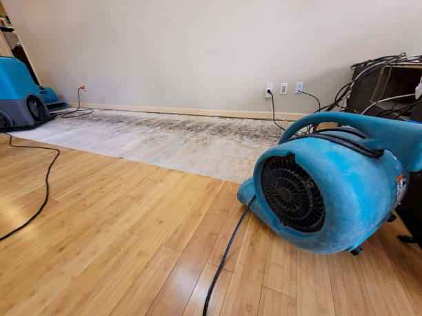 Professional Water Damage Repair technician working in Rochester, PA